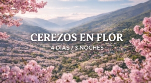 CÁCERES | Cerezos en flor 2027