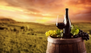 LA RIOJA | La Rioja, tierra de vinos