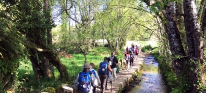 CAMINO FRANCÉS EN GRUPO DESDE SARRIA | 8 Días - 7 Noches - 5 Etapas