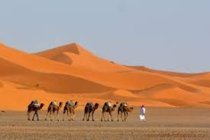 MARRUECOS | Ciudades Imperiales + Desierto