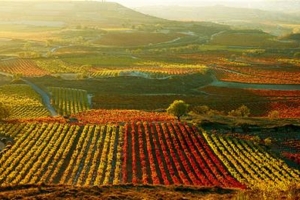 LA RIOJA | La Rioja y Álava