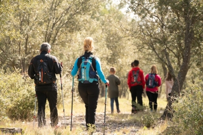 Camino Francés | 7 Días | Sarria a Santiago | hoteles Básicos