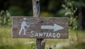 Camino Francés | 8 Días | Sarria a Santiago | Selección
