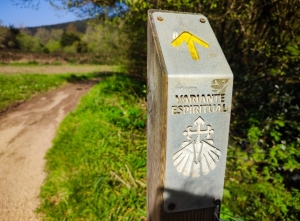 Camino Portugués | 8 días | desde Baiona a Santiago  "variante espiritual"| Hoteles Básicos